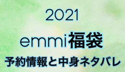エミ福袋2021年の予約日や中身情報を公開