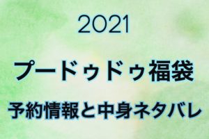 【2021年】プードゥドゥ福袋の予約開始日や過去中身をネタバレ