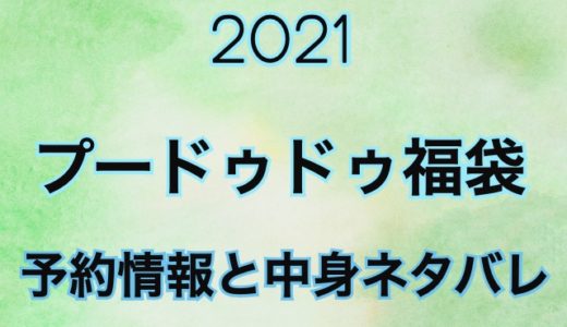 【2021】プードゥドゥ福袋の予約開始日や過去中身をネタバレ